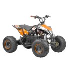 HECHT 54121 - ACCU ATV