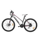 <p>Outdoor electric bike. Motor output 250 watts. Battery Samsung Li-ion/36 volts/10 Ah hidden on the frame.</p>