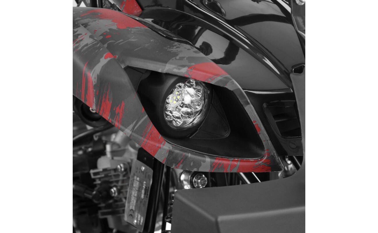 maximum speed 50 km/h. Load capacity 120 kg. Dimensions (L x W x H): 148 x 108 x 102 cm. Electric starter. Automatic transmission.