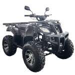 <p>Powerful petrol quad bike with manual gearbox (4+1)