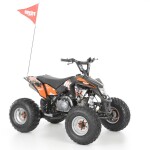 <p>Petrol four-stroke engine 125 cm3 / 7