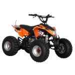 <p>Petrol four-stroke engine 125 cm3 / 7