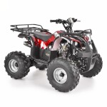 <p>Quad bike with a 125cc four-stroke petrol engine. Power 8