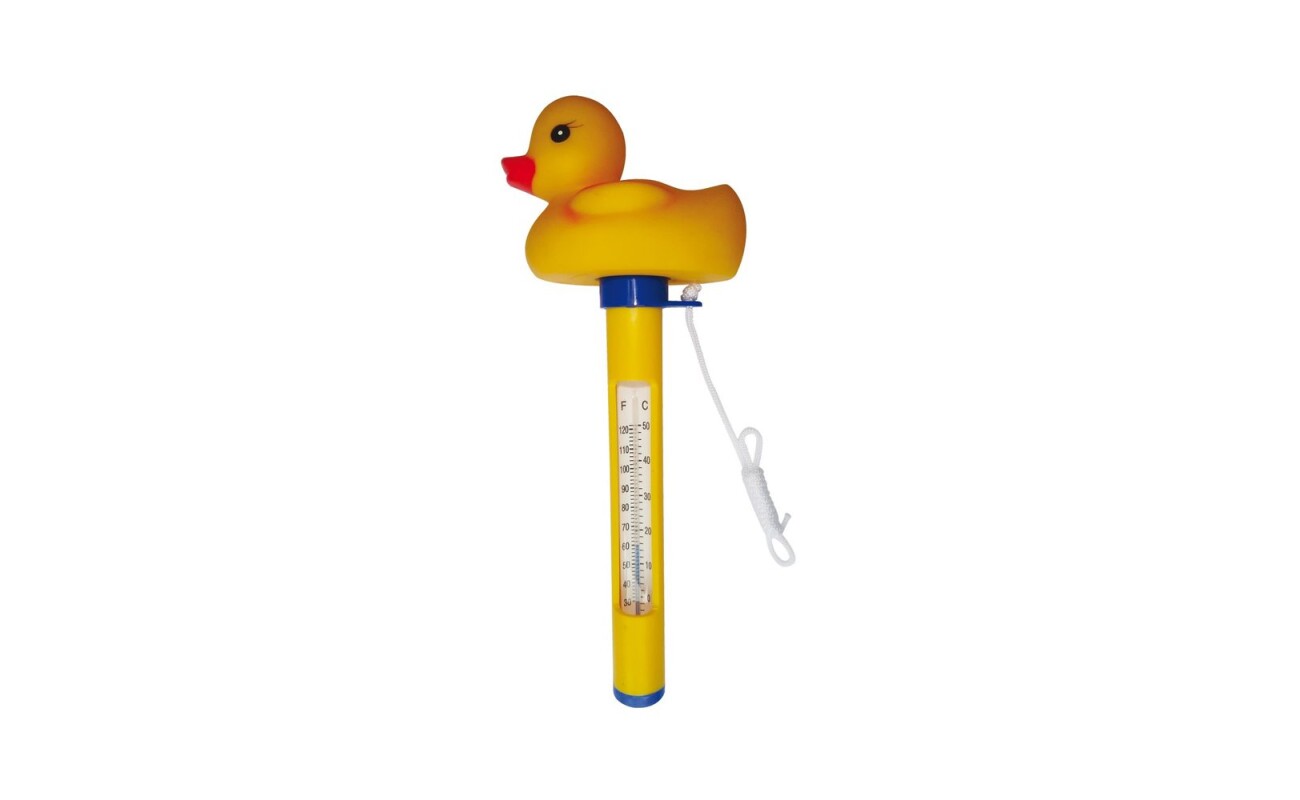 Pool thermometer HECHT 060512 with duck-shaped float.